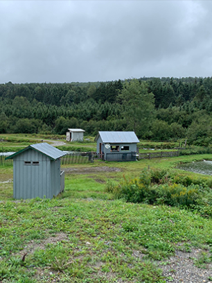 Pisciculture Des appalaches